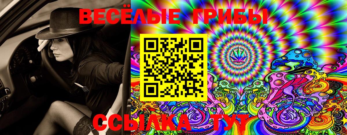 Новомосковск  Галлюциногенные грибы Psilocybe  Вход с VPN  Псилоцибиновые грибы GOLDEN TEACHER 